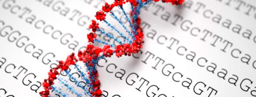 sequenciamento de genoma - DNA - Tismoo