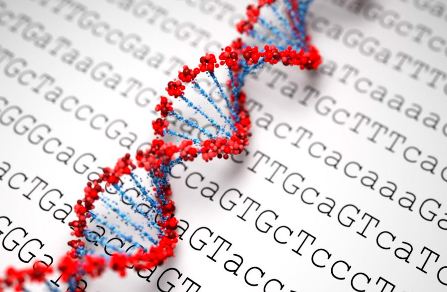 sequenciamento de genoma - DNA - Tismoo