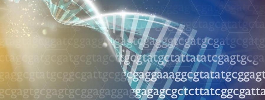Estudo reforça importância do sequenciamento do genoma completo em autistas — Tismoo