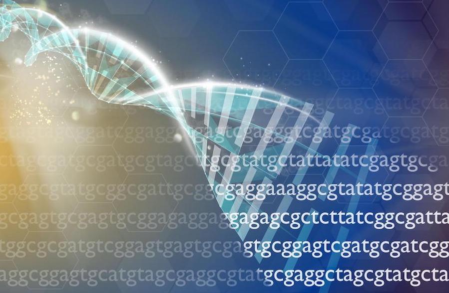 Estudo reforça importância do sequenciamento do genoma completo em autistas — Tismoo