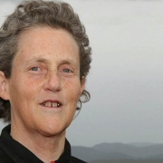 Com patrocínio da Tismoo, Temple Grandin abrirá o 1º Seminário de Neurologia do Autismo